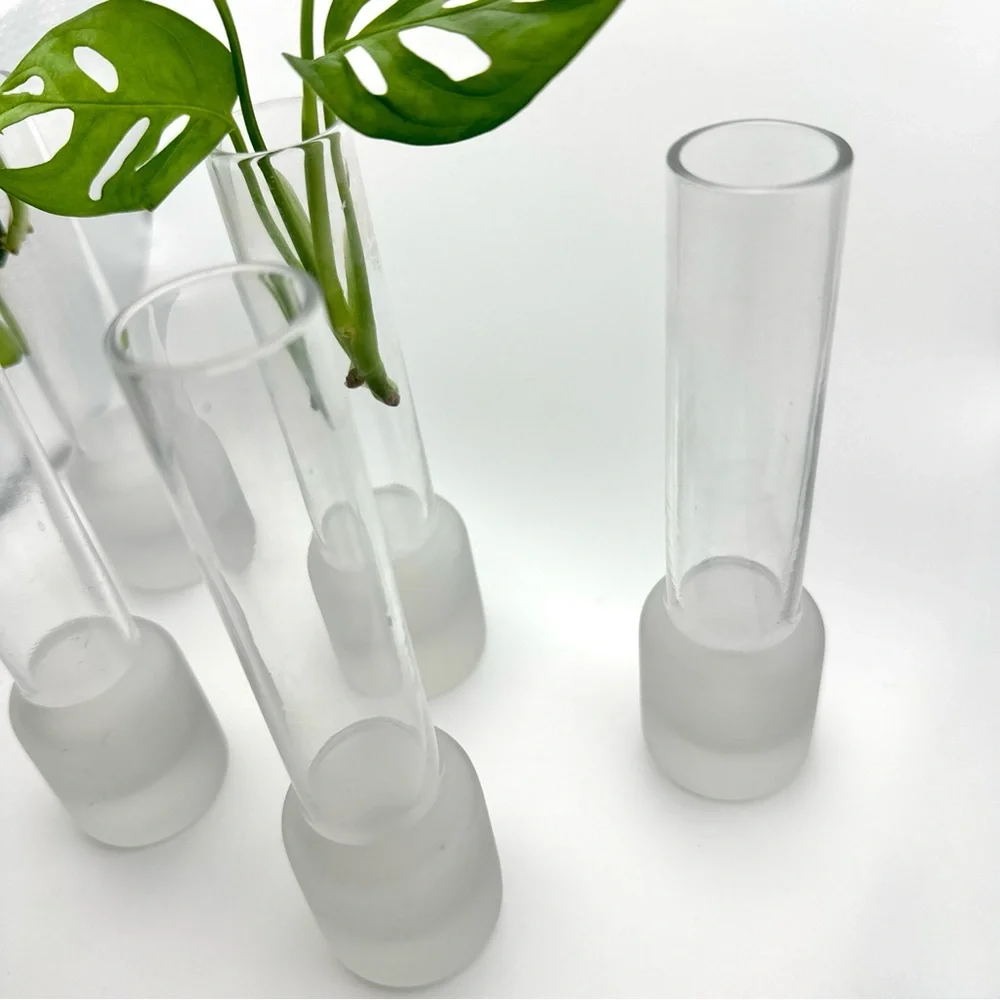 Small Clear Glass Tube Plant Propagation Vase Chunky Base Frosted Glass Bud Vase